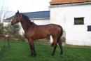 PRALINE MERCI
